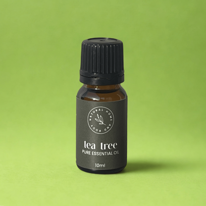 Bottle of tea tree pure essential oil on a green background